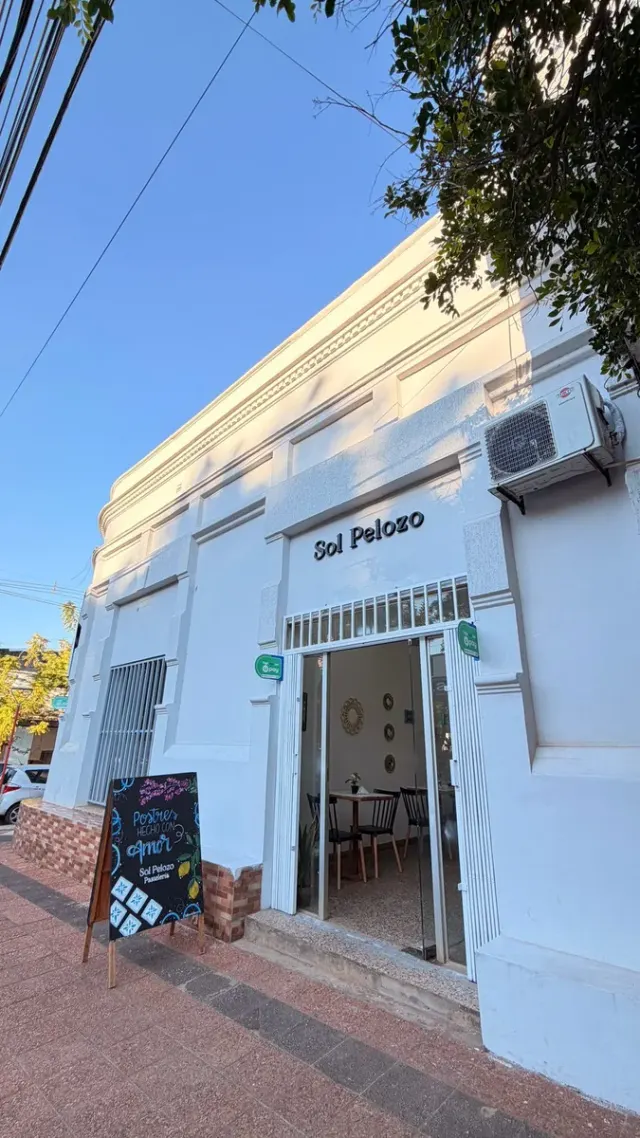 Portada de Sol Pelozo